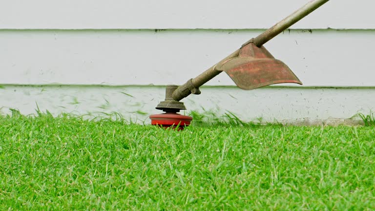 Best Leaf Removal  in Lesslie, SC